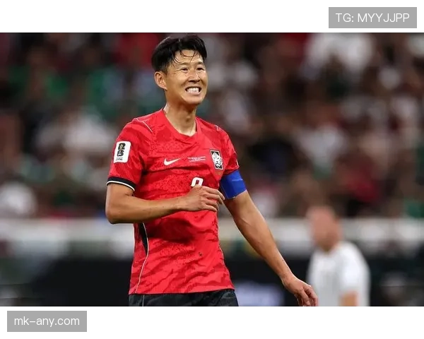 韩国世界杯整体实力达到什么水平
